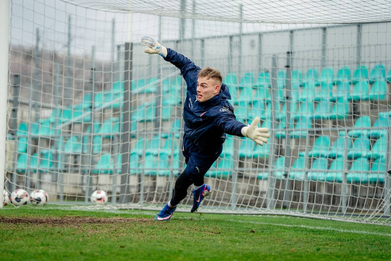 Brankářské rukavice Brave GK Venom NWB - Oficiální internetový obchod Brave GK