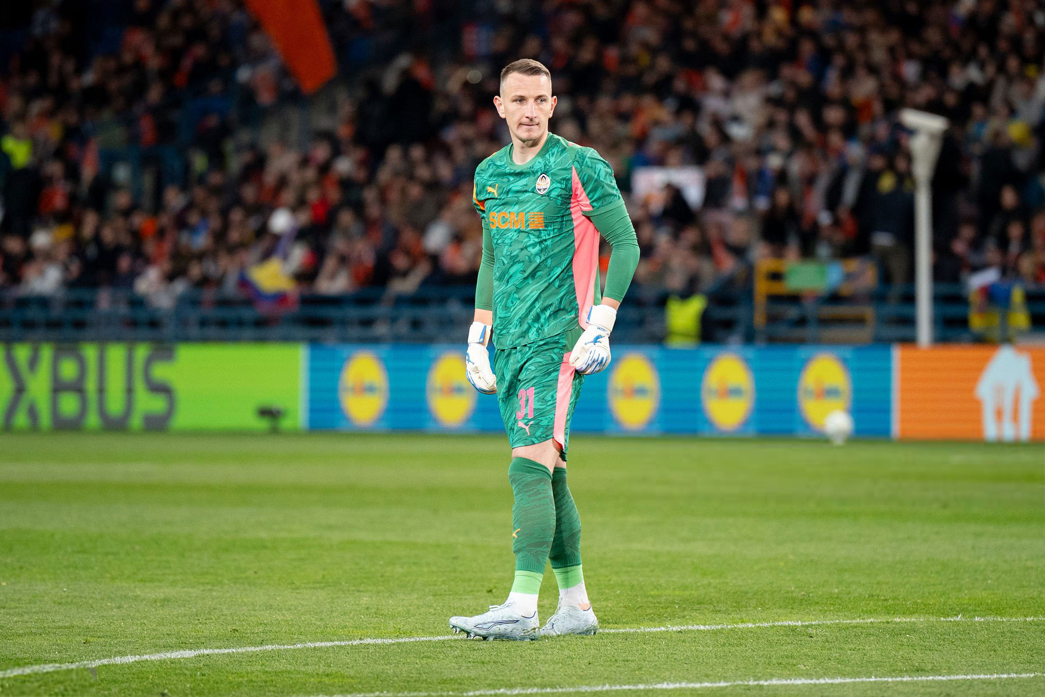 Brankářské rukavice Brave GK Venom NWB - Oficiální internetový obchod Brave GK
